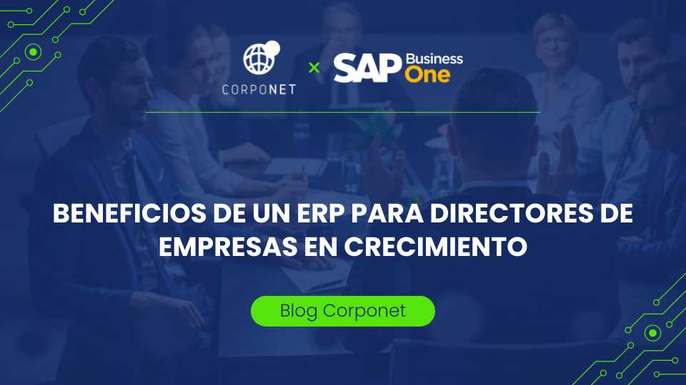 erp para directores_blog